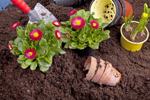 Gardener inspecting plants in a garden