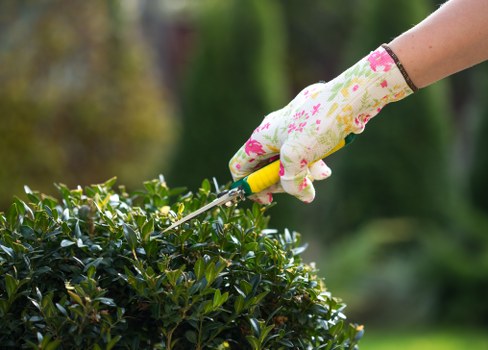 A freshly mowed green lawn with clean edges