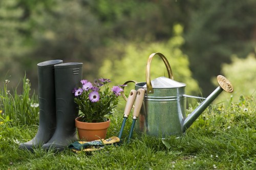 Healthy, well-trimmed garden hedge