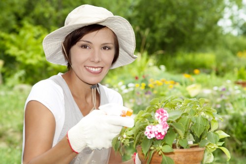 Lush garden maintained by Gardener Gardening professionals