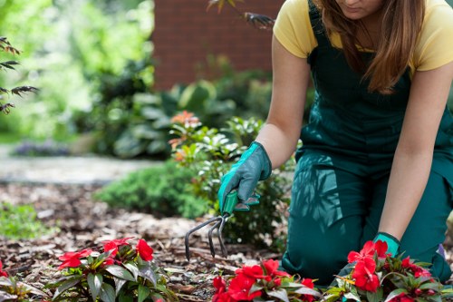 Sustainable garden practices with organic mulch and diverse plants
