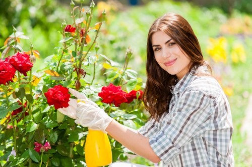 Post-clearance garden maintenance