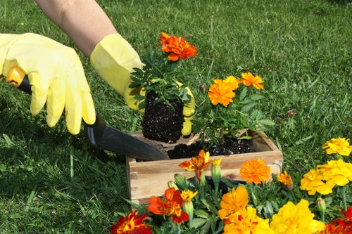 Environmentally friendly tree services in gardening