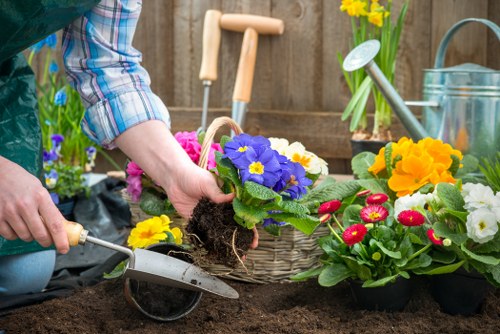 Close-up of rich, fertile garden soil with compost