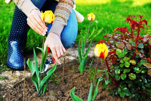 Detailed assessment during garden clearance