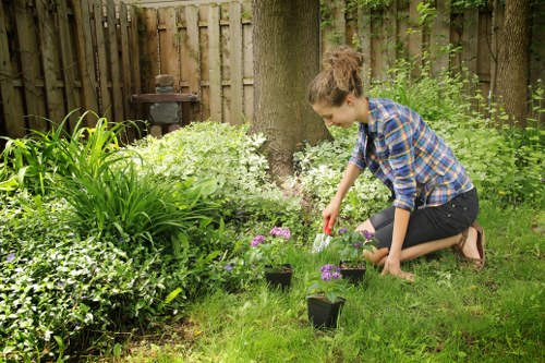 Gardener pruning a healthy shrub in the garden