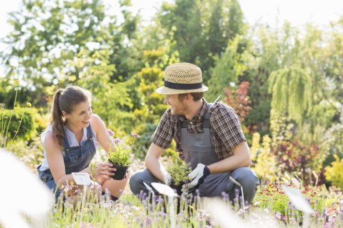 Diverse plant selection showcasing trees, shrubs, and flowering plants.