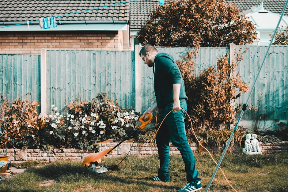 A male gardener using hedge trimmers to trim the dense, green foliage of a large hedge in a well-maintained garden. The hedge features lush, vibrant leaves with some new, reddish growth visible. The g